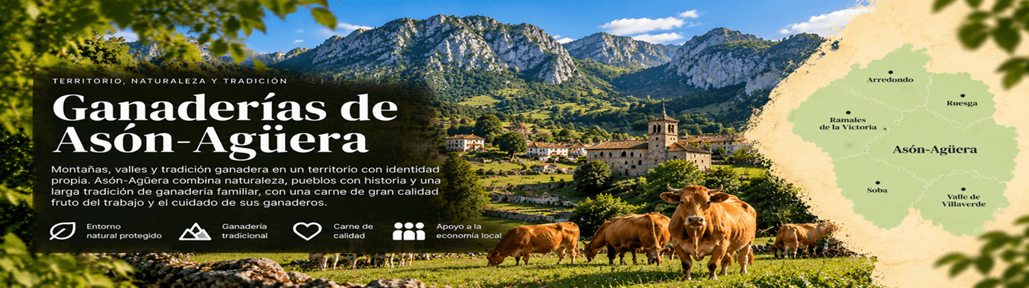 El río Asón y sus afluentes, con pastos jugosos y explotaciones familiares. Comarca en la que la ganadería define el paisaje y la economía local. Asón-Agüera