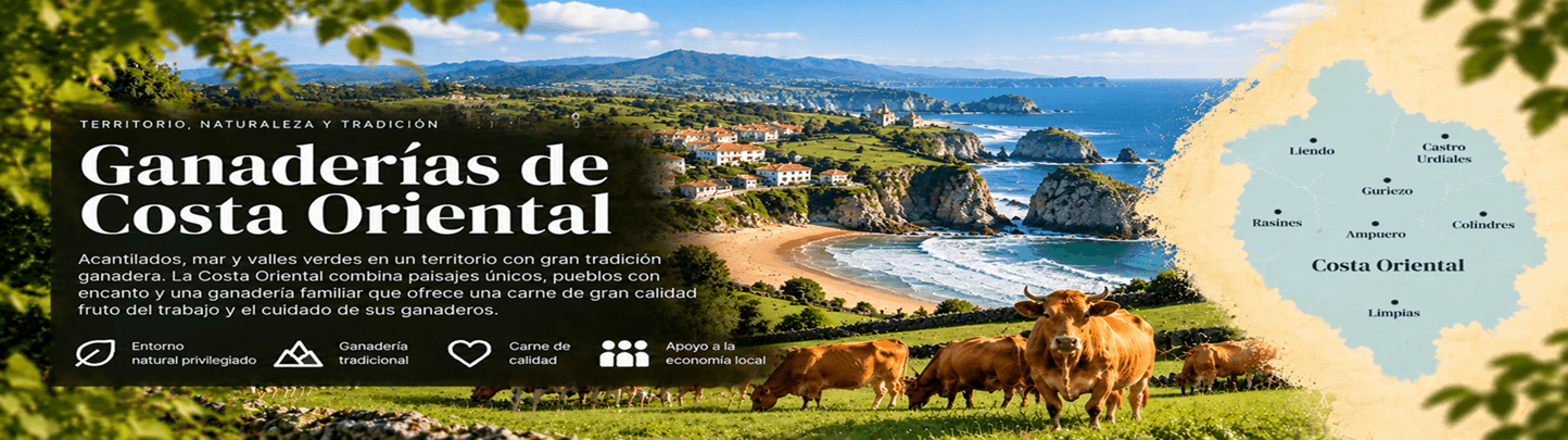 El extremo oriental de Cantabria, lindando con el País Vasco, con prados costeros, razas autóctonas y una larga tradición ganadera junto al mar. Costa Oriental