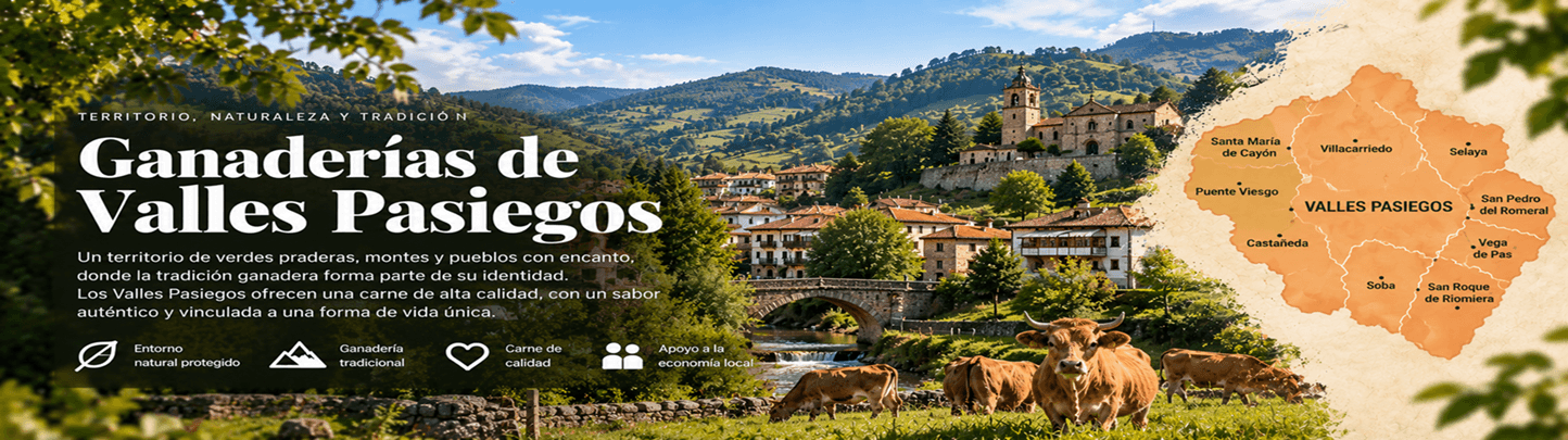 Los valles orientales de Cantabria, cuna de la ganadería pasiego-montañesa. Paisaje de seles y caseríos distribuidos por laderas verdes. Valles Pasiegos